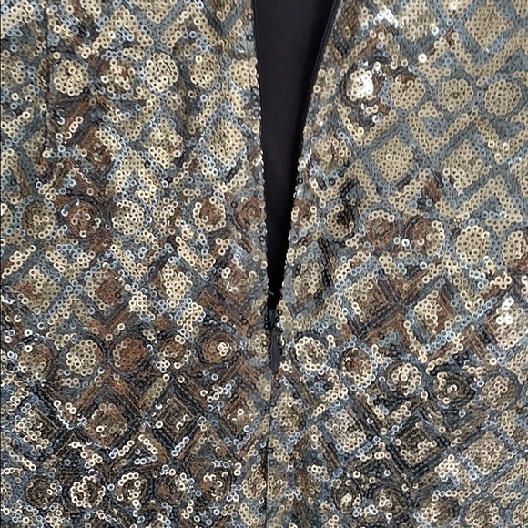 Silver/gold sequin BR shift dress - Picture 6 of 6